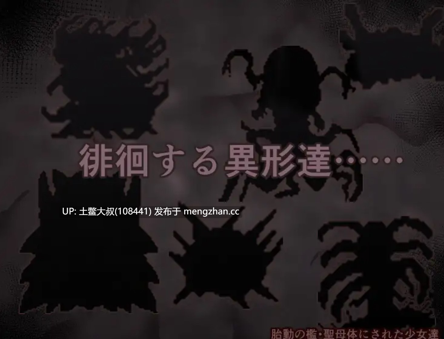 【2D日式RPG 女主 腐败 熟女 强奸 畜生 战斗 机翻】子宫的挣扎 The Womb's Throes [v1.00] 1.1GB