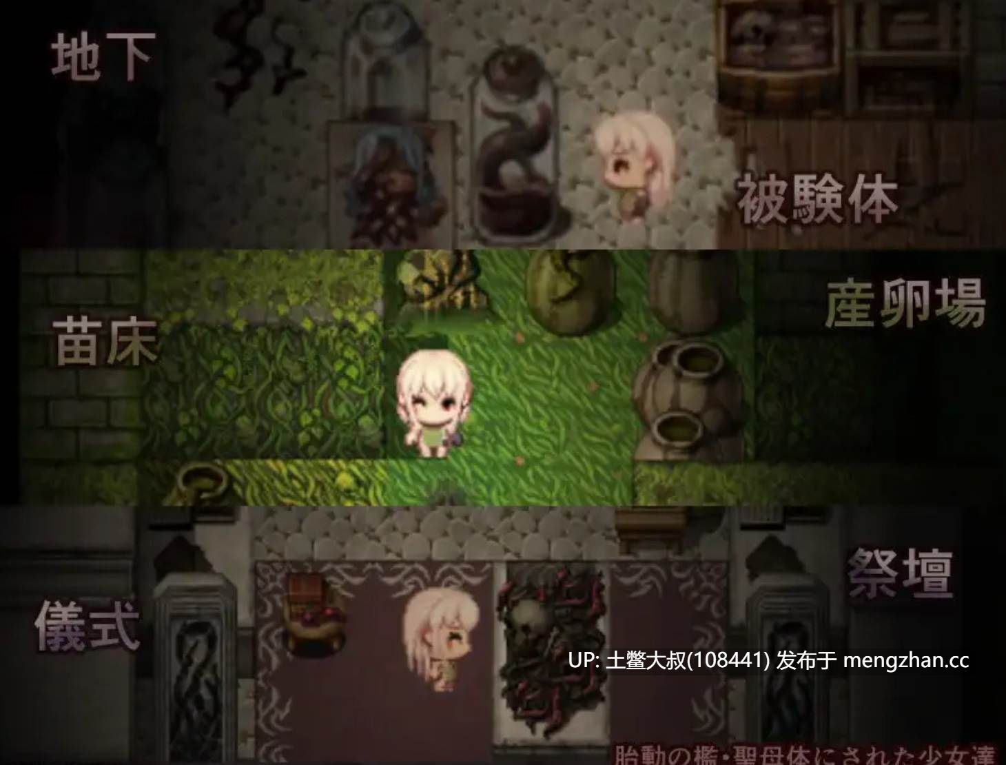 【2D日式RPG 女主 腐败 熟女 强奸 畜生 战斗 机翻】子宫的挣扎 The Womb's Throes [v1.00] 1.1GB-第2张图片-萌站
