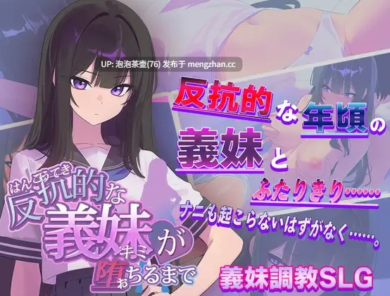 [新作SLG/汉化/精品] 直到反抗的义妹(你)堕落为止 AI汉化版 v1.0-第2张图片-萌站