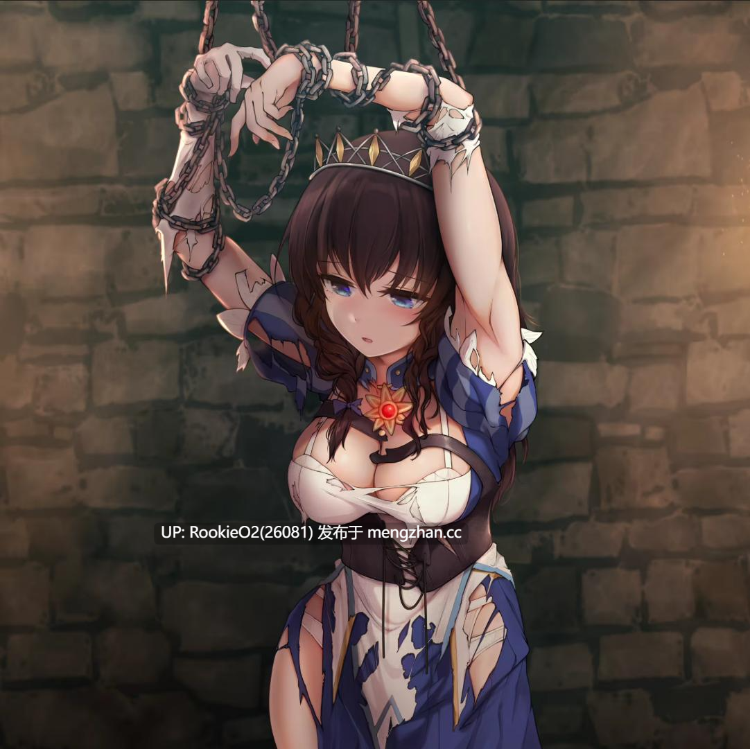 [动作ACT神作/动态/更新/PC] 圣骑士莉卡物语：白翼与淫翼的姐妹 v1.4.1 官方中文版 [4.36G/更新]-第13张图片-萌站