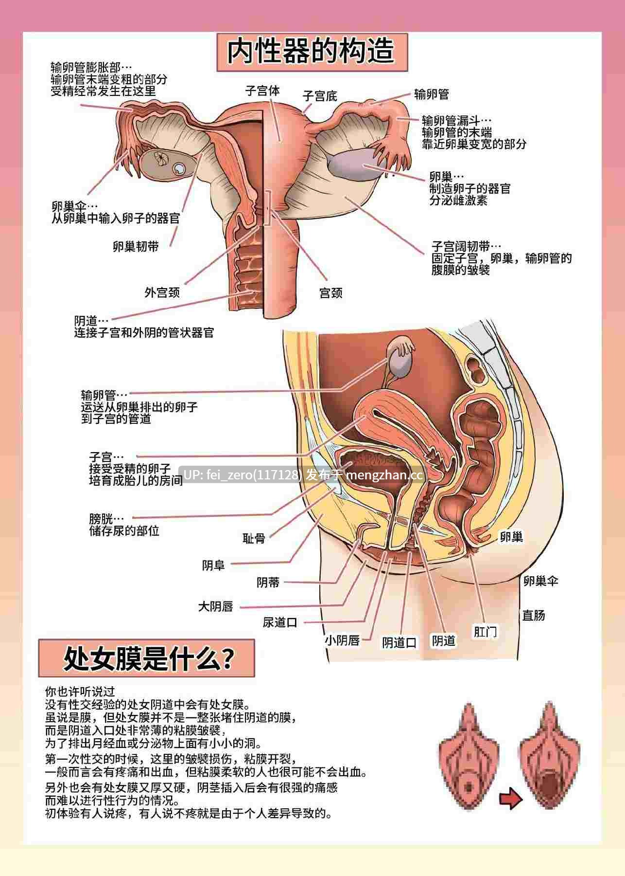 【作品合集】荒岸来歩[13部]【汉化】【全收集/自整理】-第9张图片-萌站