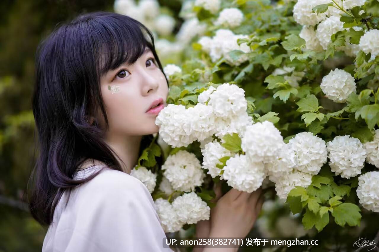 皮皮奶可可爱了啦 - 绣球花 [36P 662M][度盘]-第2张图片-萌站