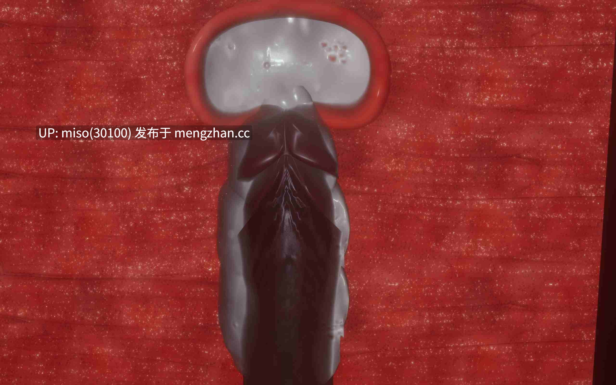 [菜就多练] 魔法少女外传第一季+第二季 鸢01-第43张图片-萌站