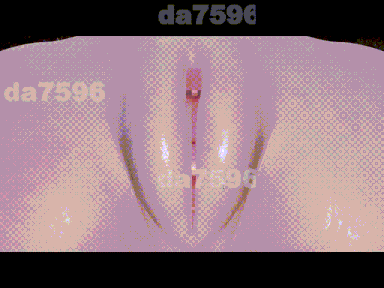 3[日式3D新步兵] 淫穴调伏与绘羽 ～退魔巫女3D触摸模拟～ Ver1.01 机翻版+去码补丁 [PC2.23G]