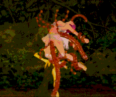 【ACT/大作/中文/全动态/战斗H】纯白女神与亡者之都P49A GuiltyHell2 Part49A官方中文版+最新存档 -第5张图片-萌站 【ACT/大作/中文/全动态/战斗H】纯白女神与亡者之都P49A GuiltyHell2 Part49A官方中文版+最新存档 -第5张图片-萌站