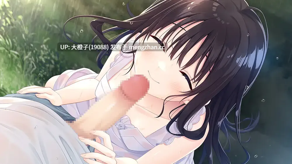 [SLG官中PC兄妹乱伦][Whisp]痴情哥哥与病弱妹妹的乡间生活 エッチで一途なド田舎兄さまと、古式ゆかしい病弱妹 Append.03 DLC3更新[3.64G]-第4张图片-萌站