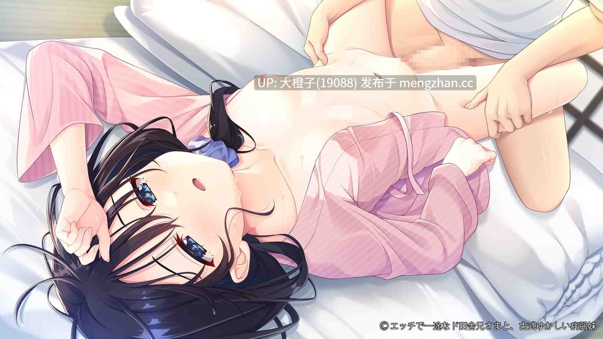[SLG官中PC兄妹乱伦][Whisp]痴情哥哥与病弱妹妹的乡间生活 エッチで一途なド田舎兄さまと、古式ゆかしい病弱妹 Append.03 DLC3更新[3.64G]-第11张图片-萌站