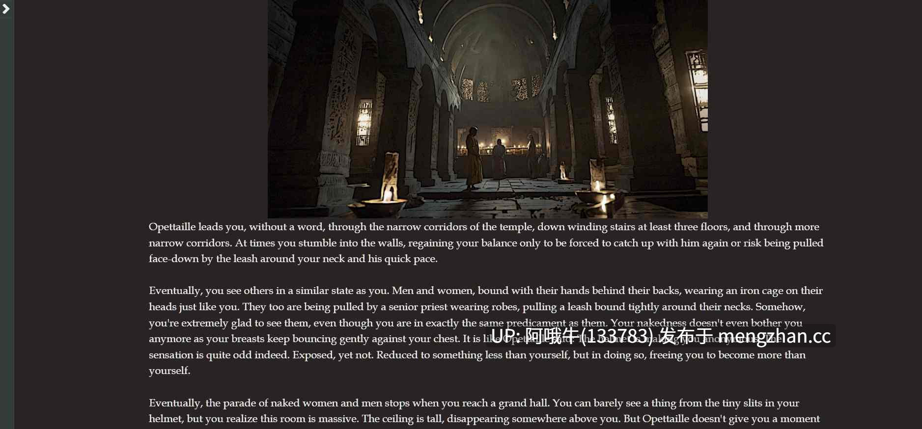 【2D/html浏览器机翻/互动/PC】塔鲁的地狱誓言 Taru's Infernal Pledge  [v0.10.1]【573M】【序号5275】-第9张图片-萌站