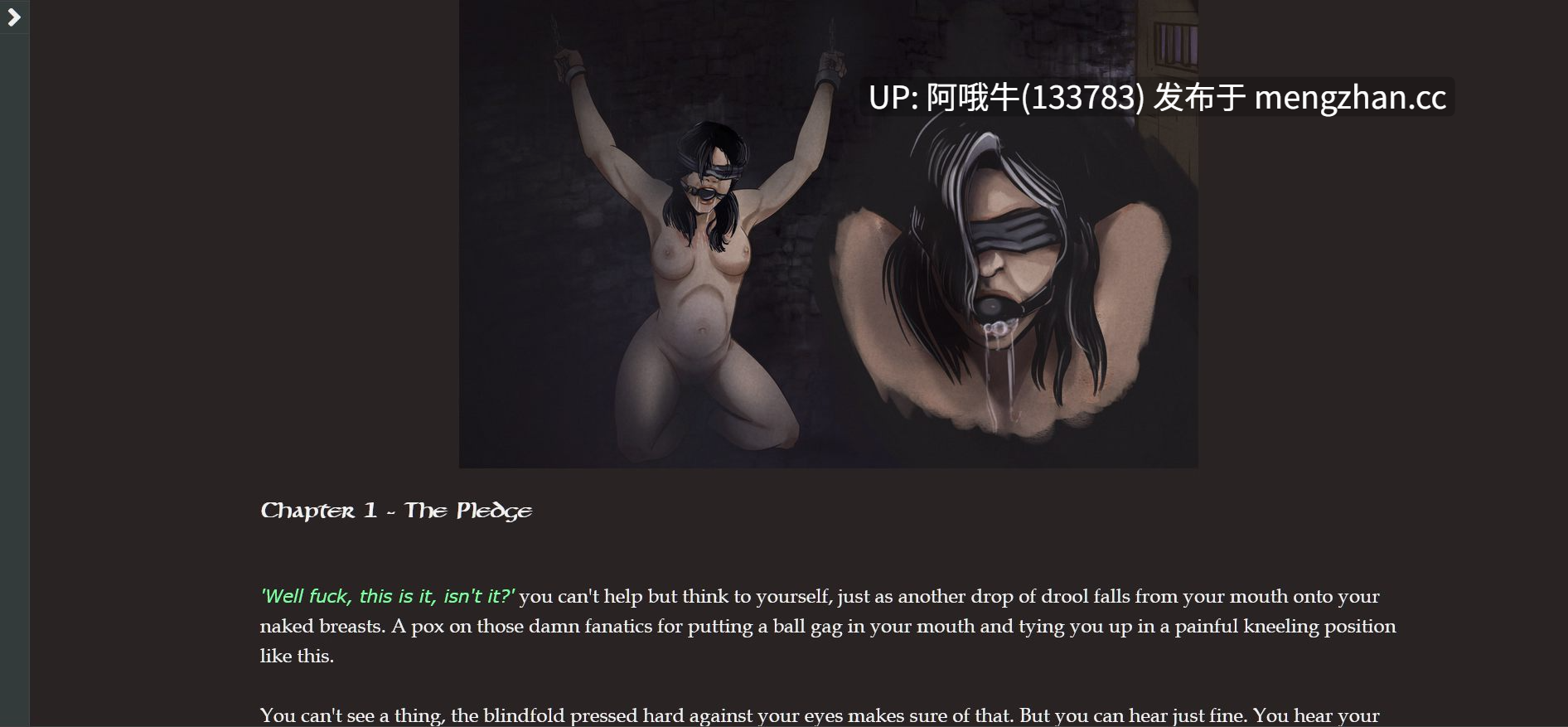 【2D/html浏览器机翻/互动/PC】塔鲁的地狱誓言 Taru's Infernal Pledge  [v0.10.1]【573M】【序号5275】-第13张图片-萌站