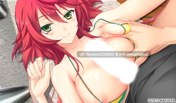 [ADV/汉化/巨乳/PC] 爆榨姐姐～姐姐要榨干弟弟啦！AI汉化版 [4.49G] -第5张图片-萌站