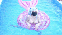 【0.4萌币】#onlyfans #泳装 #可爱 #自慰 #hamusuk_k 泳装鲨鱼可爱套装妹妹，好想操她啊