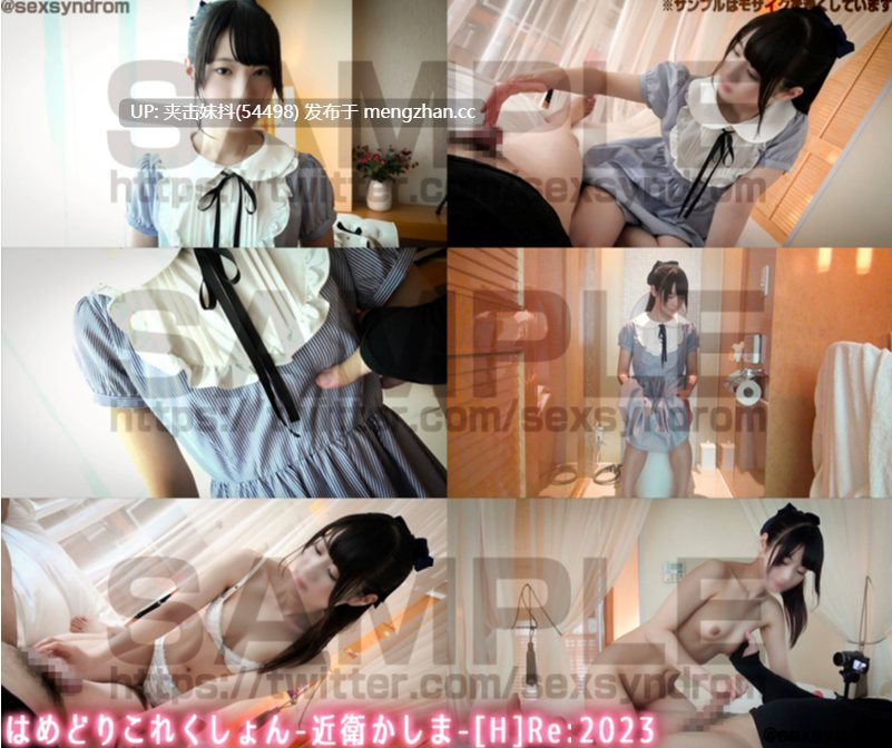 Sex Syndrome-合-43-SS384 Re2023 [4053721] [4006627] 【顔ボカシ極薄Ver.】はめどりこれくしょん-近衛かしま[P][H]-第2张图片-萌站