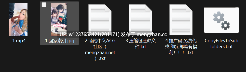 极品欧美Coser网黄【Rynkerbellee】，精灵级别的超高颜值，口交服务相当乖巧~【1V-622M】-第6张图片-萌站