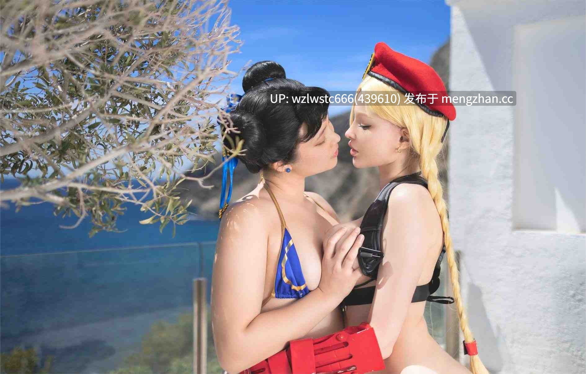 Hidori Rose & Virtual Geisha - 嘉米和春丽 无遮 1.4G 1V 带单人图包-第3张图片-萌站