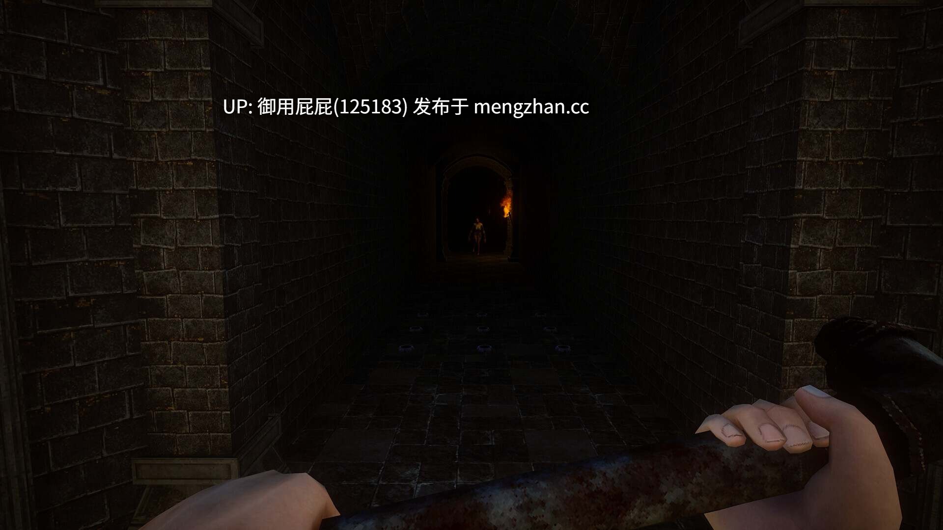 [3D动作PFS/猎奇/更新] 罪恶尖塔 Sin Spire Beta 体验版v0.5 官中步兵版 [1.3G]-第5张图片-萌站