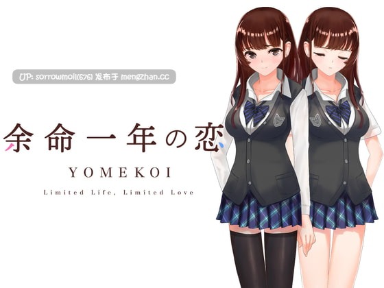 【DLsite 汉化  多结局 感動 学校/学園 ラブラブ/あまあま 純愛 巨乳/爆乳 処女】   余命一年の恋 ー抜けて泣ける恋愛シミュレーションー 余命一年的恋爱：能边拔边哭的恋爱模拟【ver1.0/RJ310667/社团名:あさひソフト】