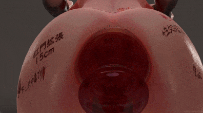 Raiden analplug 【重口扩张】