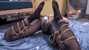 绳精病bondagetea 黑丝折腿趴地无助调教-第4张图片-萌站