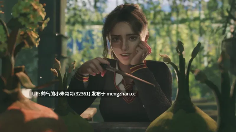  {合集}画师ZMSFM第一弹 [88V+2.5G]-第2张图片-萌站