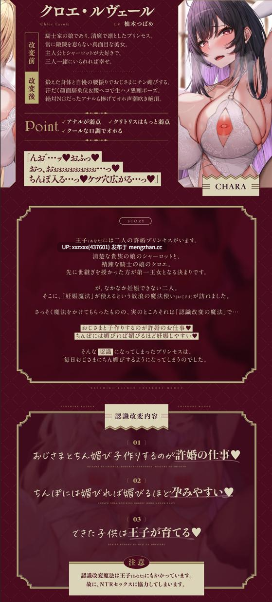 [柚木つばめ / 藍沢夏癒][RJ01285594][简体中文版][借种NTR]改变认知的肉棒献媚魔法～被寝取的两位未婚妻公主～[双重哦吼淫叫快感沦陷]-第2张图片-萌站