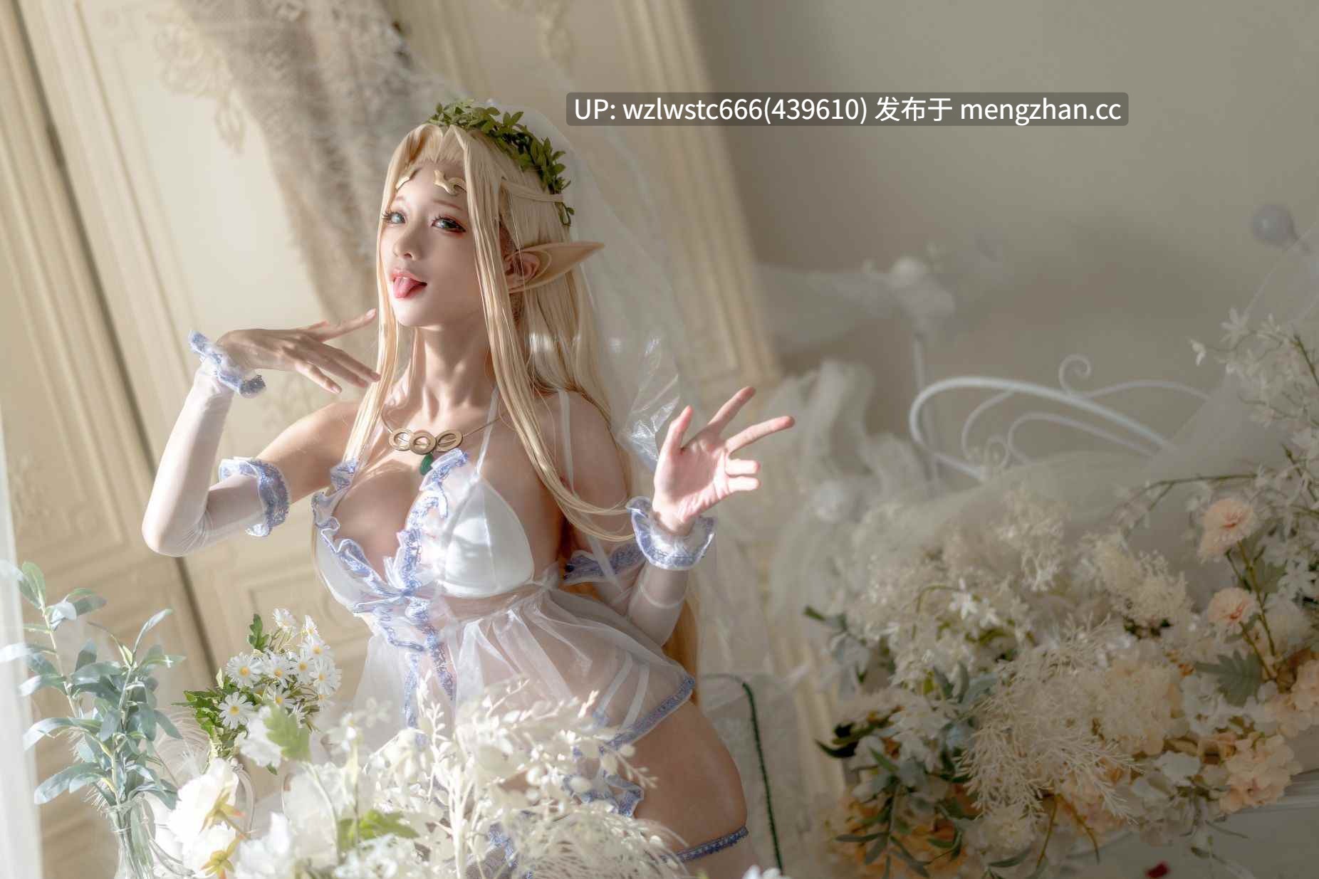 蠢沫沫-黑兽精灵女王合集（含原版服装婚纱绅士版）共1.7G-第2张图片-萌站