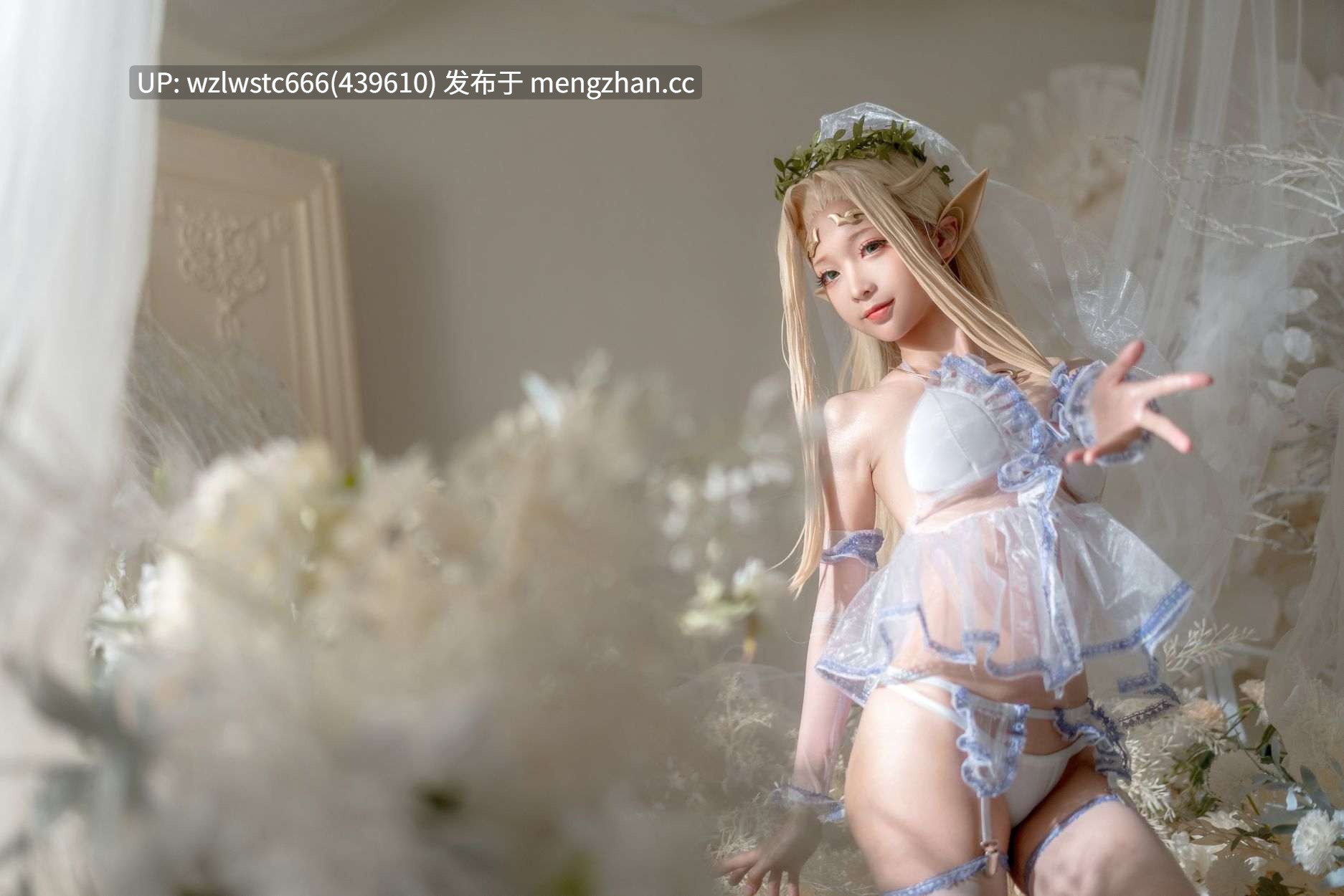 蠢沫沫-黑兽精灵女王合集（含原版服装婚纱绅士版）共1.7G-第5张图片-萌站