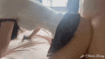  【度盘】#Bunny 纤纤美腿玲珑身段劲爆完美身材，肉棒塞满饥渴骚穴 T121306 -第3张图片-萌站