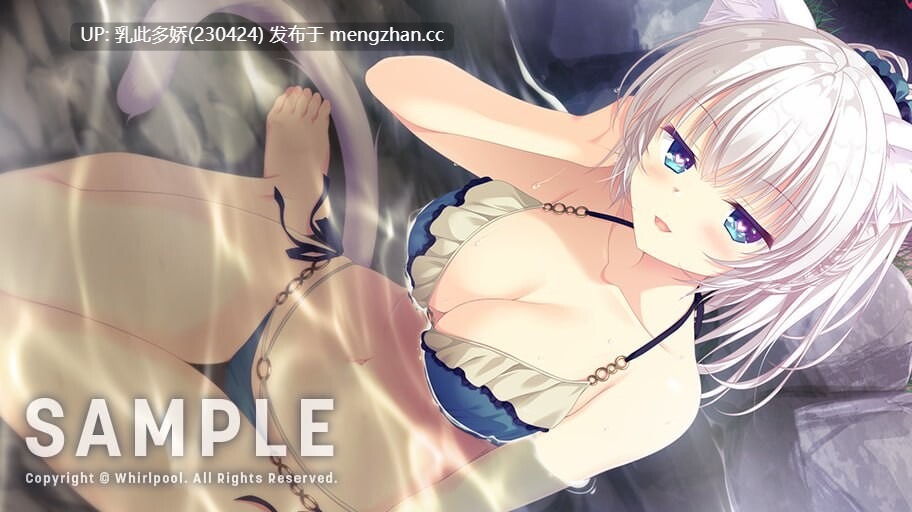 16[ADV官中步兵新作] 猫忍之心SPIN! LOVE+PLUS NEKO-NIN exHeart SPIN! LOVE+PLUS 官方中文步兵版 2025年12月 15日发售 [PC1.54G]-第4张图片-萌站
