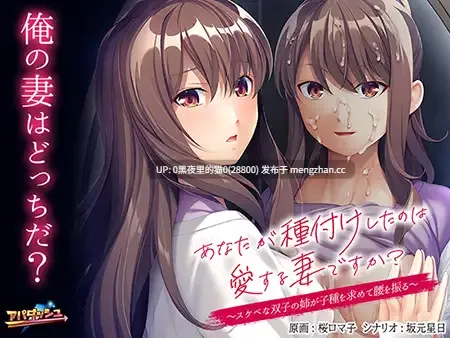 【PC/ADV/ 义姐/人妻/巨乳/已婚者】あなたが種付けしたのは愛する妻ですか? ～スケベな双子の姉が子種を求めて腰を振る