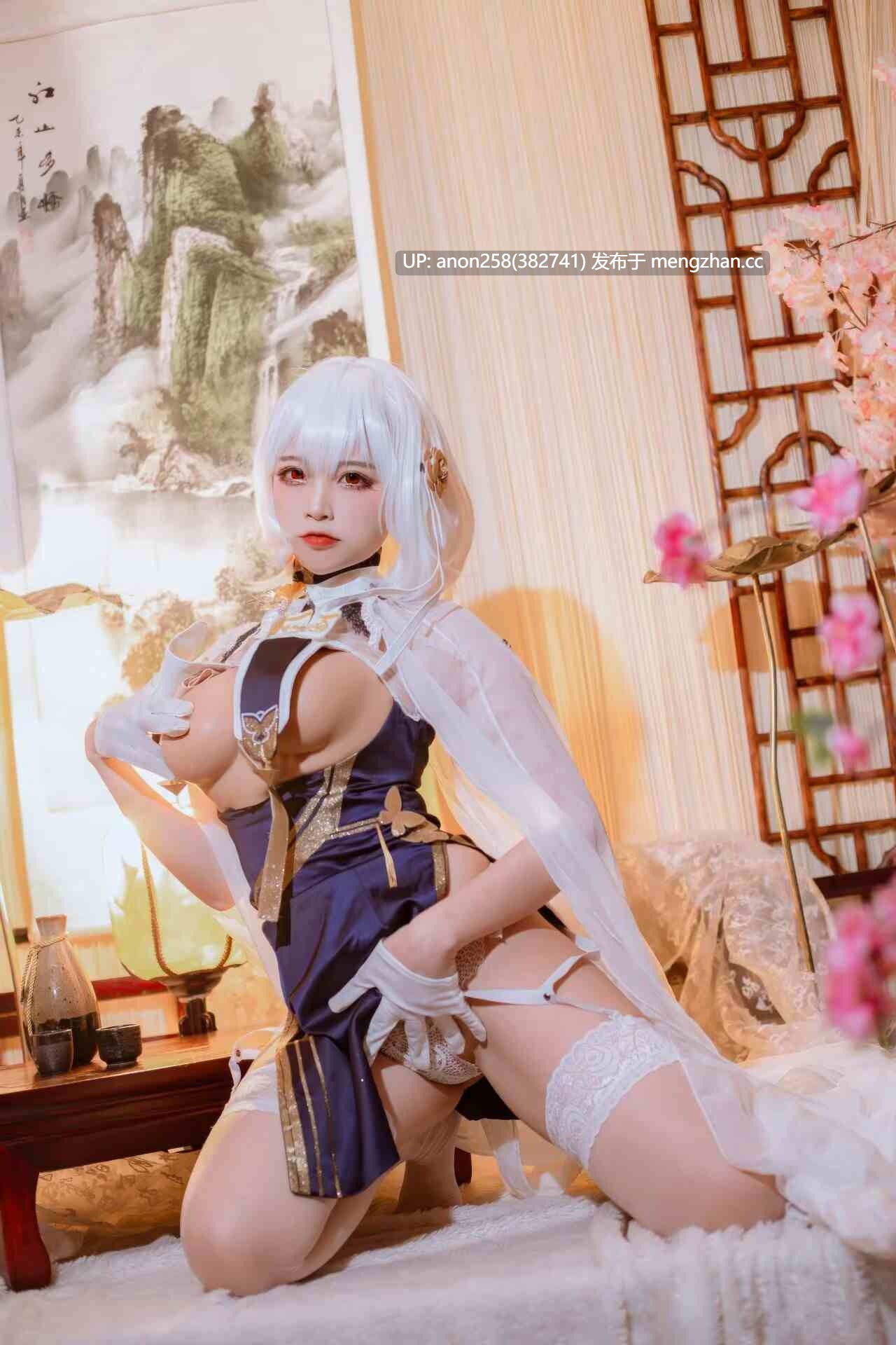 二佐Nisa - 碧蓝航线 天狼星旗袍 [25P 212M][度盘]