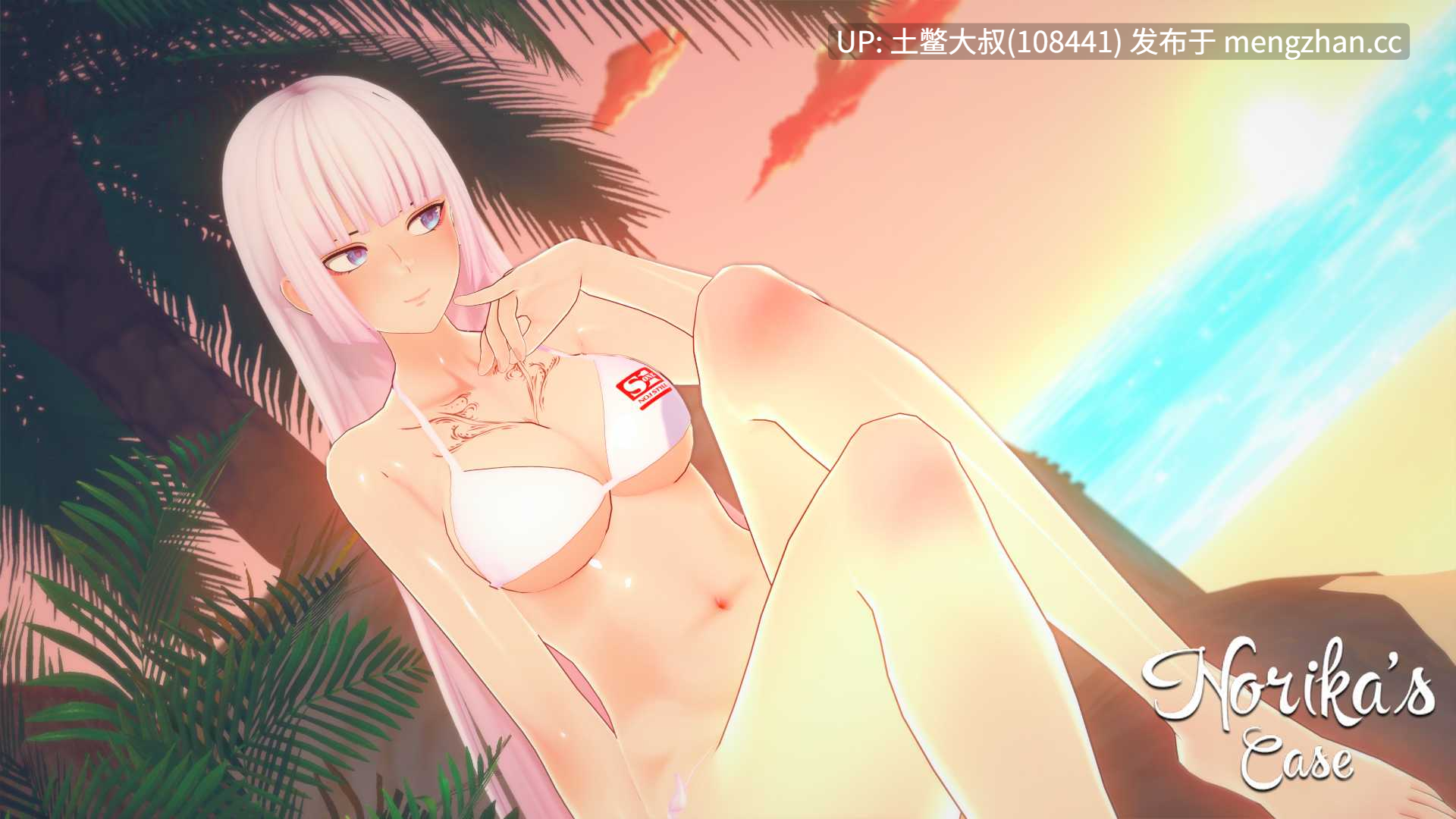 【3D日式SLG 动态 后宫 女同 机翻】诺里卡的案件 Norika's Case [S2 v0.16] 1.9GB-第17张图片-萌站
