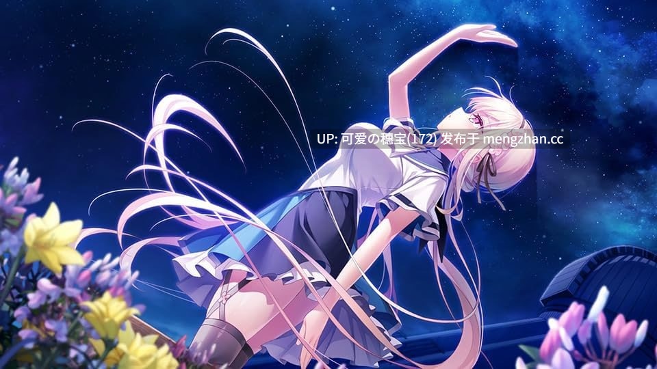 【PC/ADV/2.04G】anemoi  体验版 AI汉化版-第4张图片-萌站