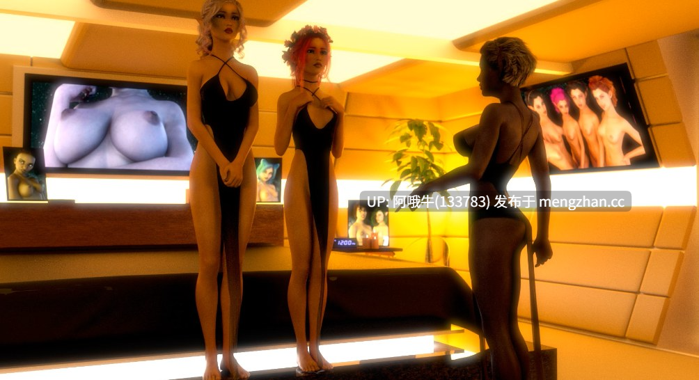 【欧美/动态/SLG/PC/机翻】光：第一次插曲 Hikari First Interlude v0.04.11p 【590M】【序号5737】-第23张图片-萌站