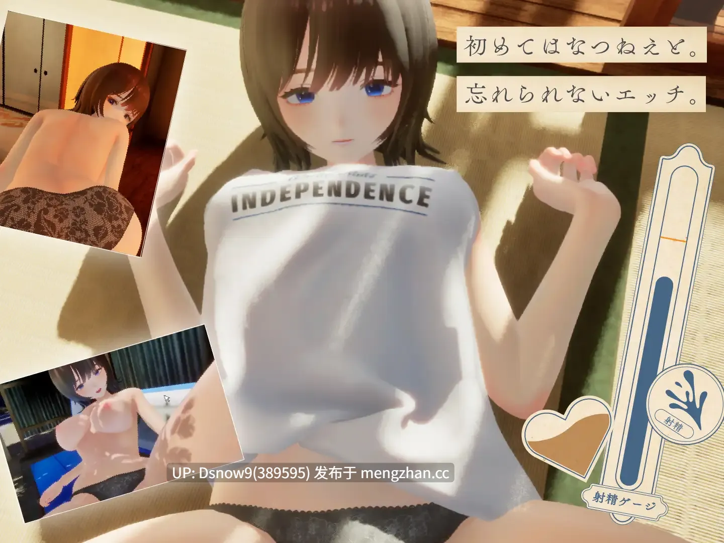 [3D/SLG/动态/AI汉化/去码] なつねえ ～僕が恋した30日～ v1.1 [PC/2.4G]-第4张图片-萌站