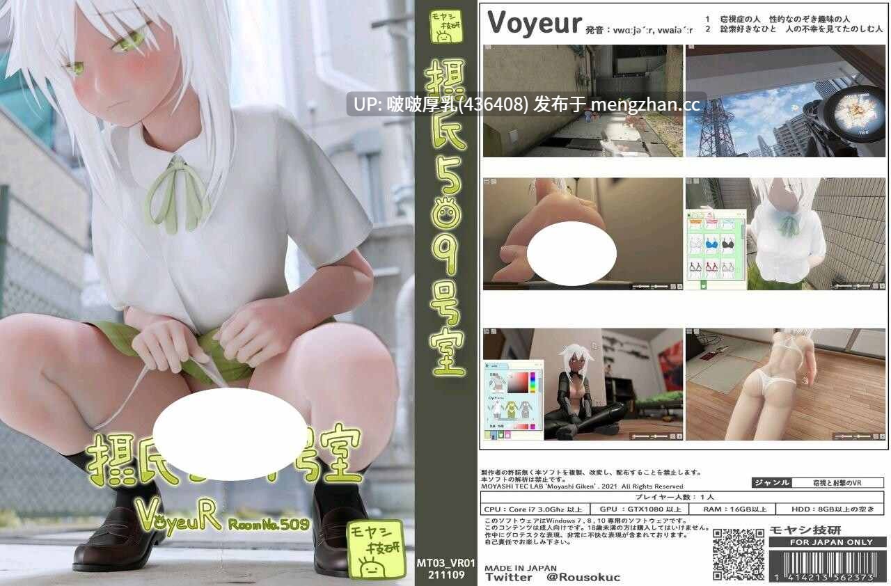 【步兵破解】【SLG/3D/动态/步兵/PC】摂氏509号室  Voyeur Room509-第3张图片-萌站