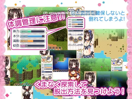 【DLsite 汉化 cv 胸部/奶子 大小姐 奇幻 异种X 命令/强迫 触手】   ロイヤル令嬢漂流記  皇家千金漂流记【ver1.0/RJ225459/社团名:すにぃる】-第2张图片-萌站