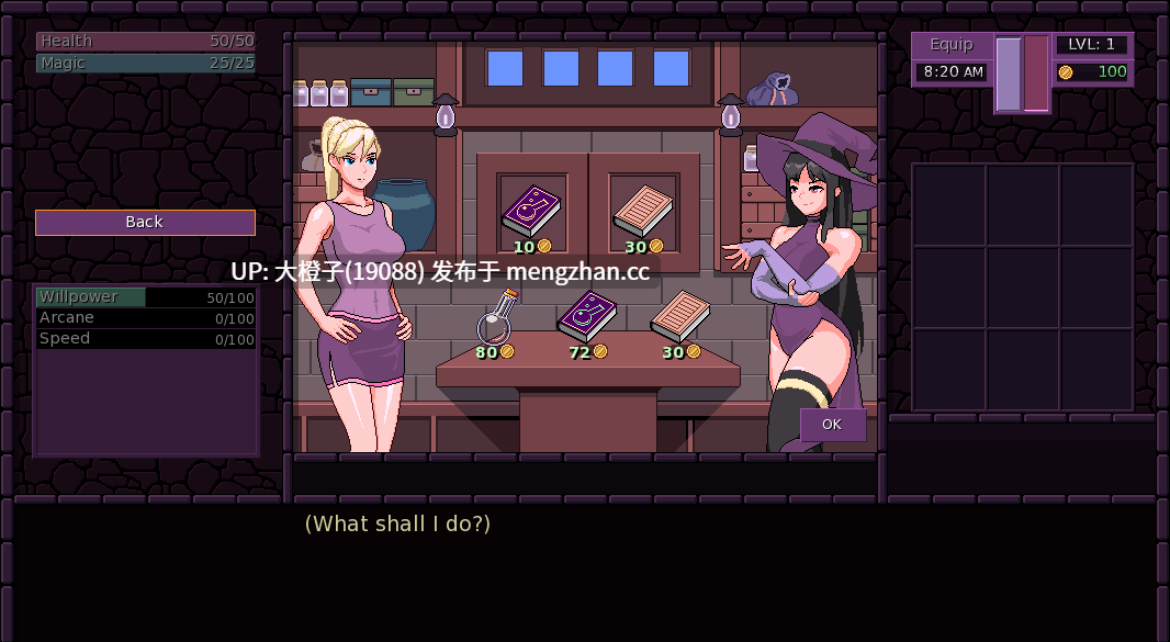 [SLG官中动态步兵] 魔法之镇 Town of Magic v0.74.501 SP[443M]-第8张图片-萌站
