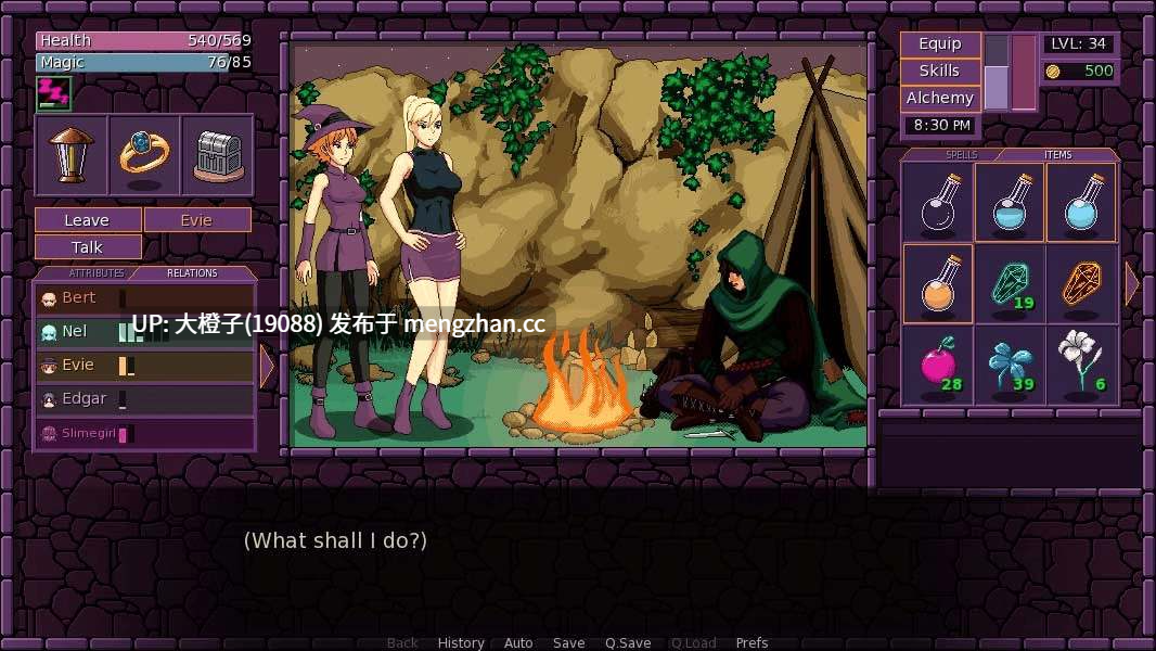 [SLG官中动态步兵] 魔法之镇 Town of Magic v0.74.501 SP[443M]-第19张图片-萌站