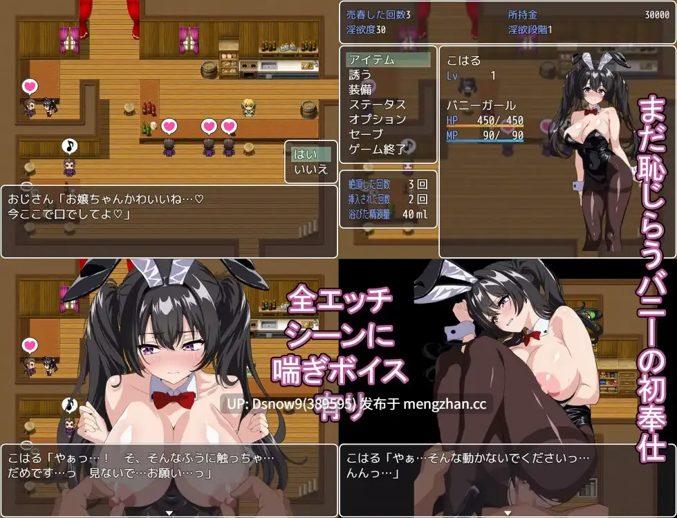 [RPG/AI汉化] 売春バニーの快楽堕ちRPG 徐々に淫欲に堕ちるバニー [PC/978M]
