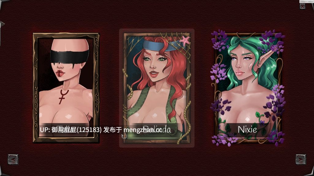 [2DRPG神作/动态/AI汉化] 霍林加：黑暗面 Horingar Darkside Ch.11 V3 AI汉化步兵版 [3.10G]-第9张图片-萌站