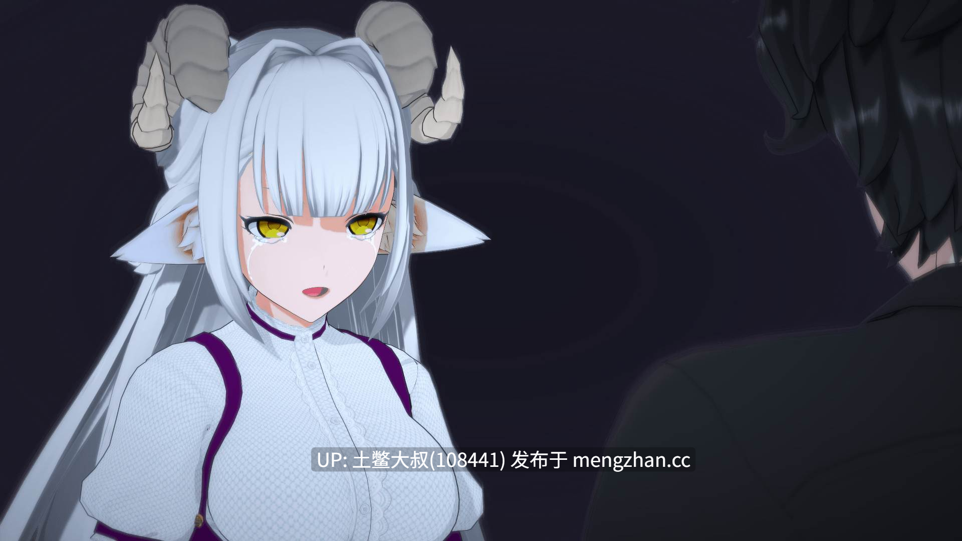 【3D日式SLG 冒险 动态 奇幻 后宫 官方中文】月光奉献：圣骑士的后宫 Moonlit Devotion: A Paladin's Harem [v0.03b] 1.4GB-第8张图片-萌站