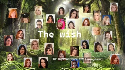 16[RPGAI汉化PC]愿望 The Wish v0.41 AI汉化版 [0.99G]-第5张图片-萌站