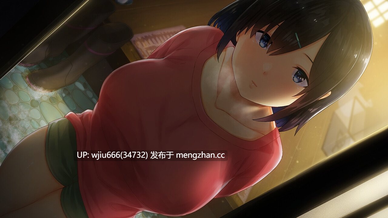 【SLG/官中/无修】WINTER-乡村性活-2.3.0【1G/百度】