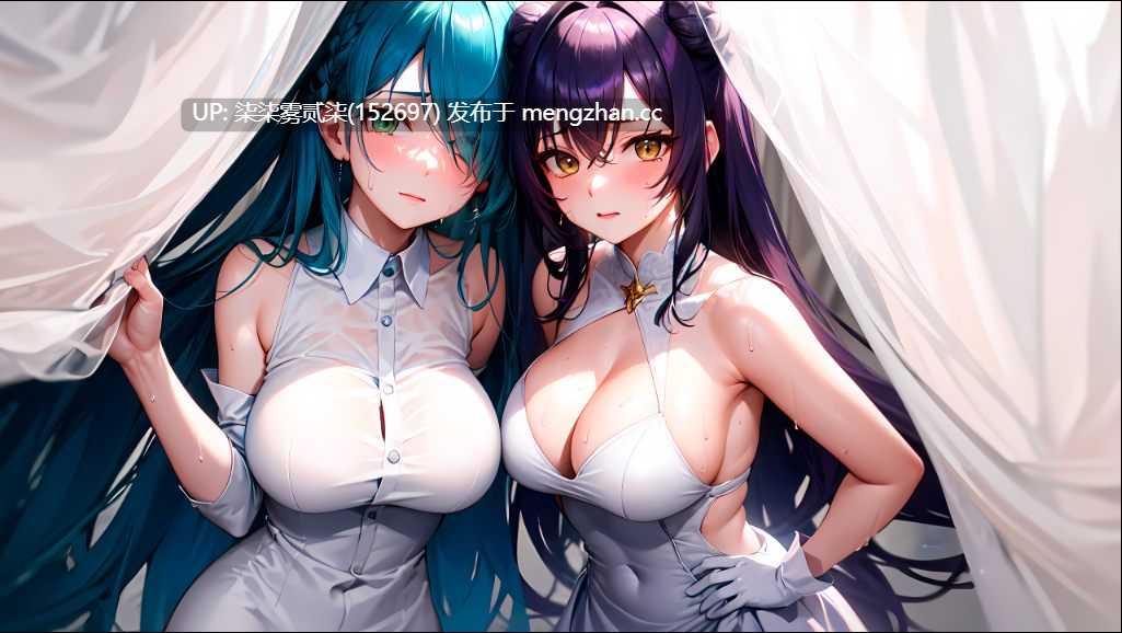 セレスティスの塔の征服 –強者と弱者– 征服天空之塔 ~强者与弱者~【PC/PRG/AI汉化/1.5G】-第2张图片-萌站