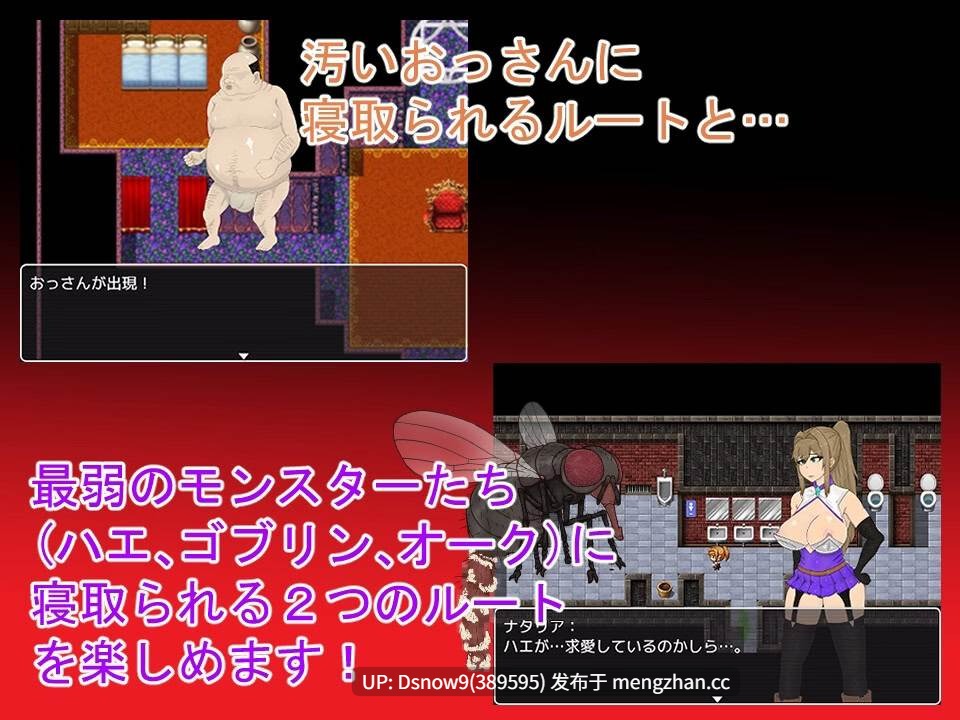 【日系RPG/AI汉化】NTR 堕落之塔与跨种族淫乱 NTRRPG～堕落の塔と異種たちの狂宴～ v1.0【PC/881M】