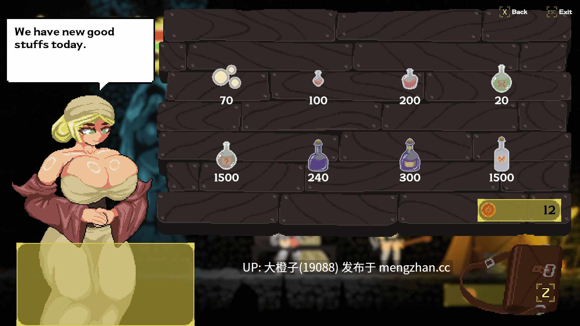 [ACT机翻像素动图PC]埃丽卡：太阳骑士 ERICA Knight of the Sun 0.1.6+存档[2.33G]-第14张图片-萌站