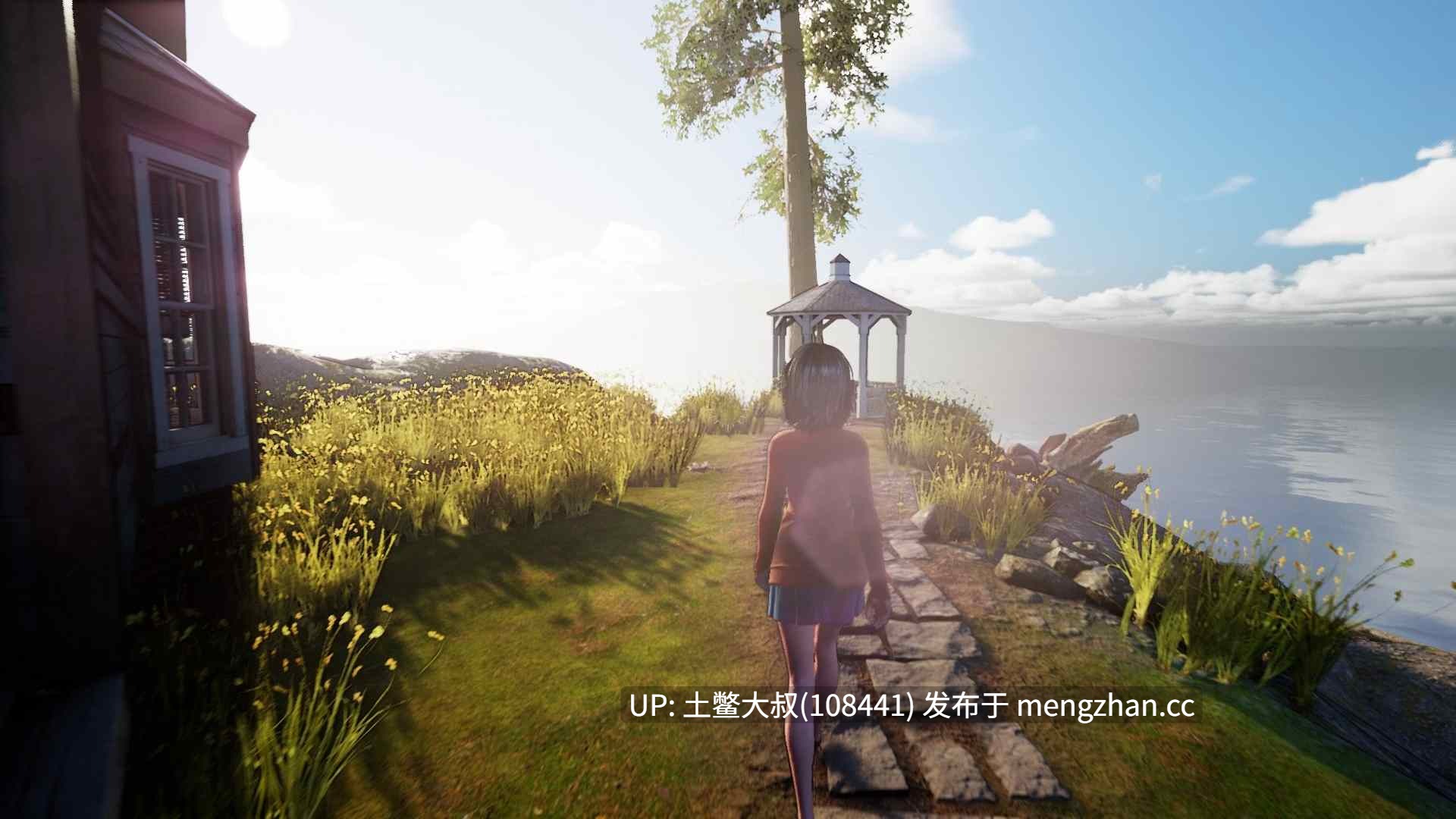 【3D欧美ARPG 冒险 腐败 开放类 触手 生肉】妄想 Deluded [v0.4.5 Test] 9.3GB-第13张图片-萌站