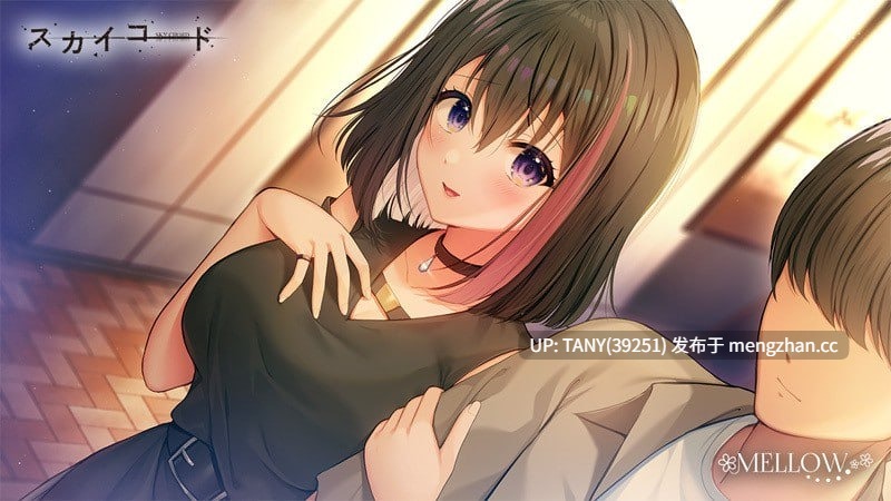 #天之和弦 #スカイコード 中文汉化版 萌站植入
