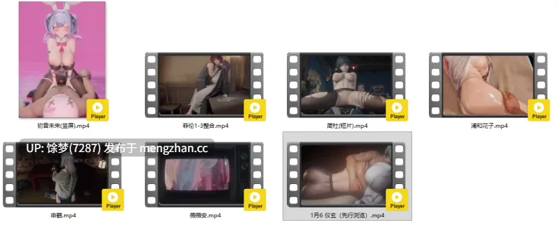 exprational 1月6绝区零 黑丝师尊仪玄 无声浏览版 附往期6部 [1.5G]-第2张图片-萌站