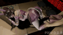 ＃合集＃斗罗大陆 #小舞 #侍奉 #3D国漫 #VAM #DDR（资源大小：5.56GB） 3011007-第7张图片-萌站